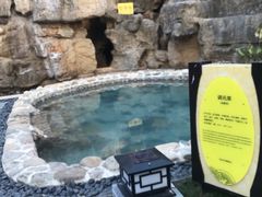 -深业半汤御泉庄温泉