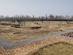 -汉长安城未央宫国家考古遗址公园