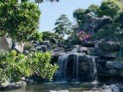 -东莞植物园