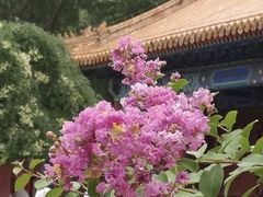 -杭州城北体育公园