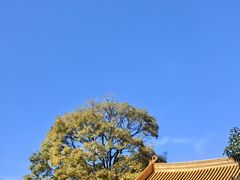 -真庆观