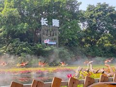 -广州长隆飞鸟乐园