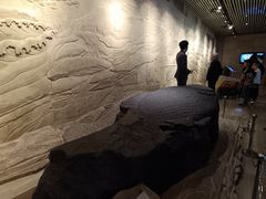 -白鹤梁水下博物馆