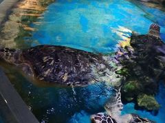 -多彩贵州城极地海洋世界