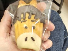 -乡田小墅(展览馆路JK FUN商城店)