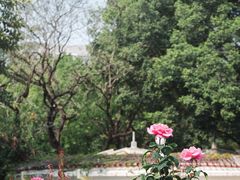 -人民公园(罗湖区)