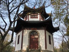 -上海佘山国家森林公园天马山园