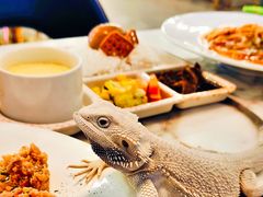 -FAIRYLAND龙族星球主题餐厅(凯丹广场店)