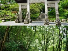 -黔灵山公园