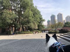 -成都南湖公园
