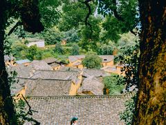 -杨家堂村