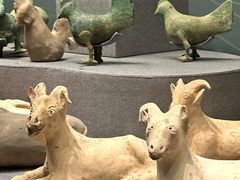 -广西壮族自治区博物馆