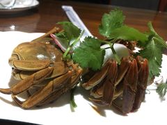 -呼吸森林·生态农庄农家乐私房菜