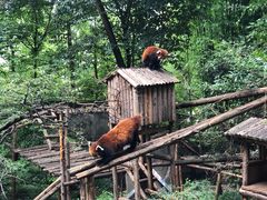 -昆明动物园