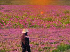 -梁子湖东篱老屋生态庄园