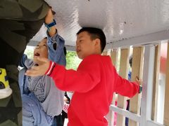-枫香湖儿童公园