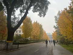 -北京理工大学(中关村校区)