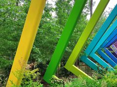 -合肥滨湖国家森林公园