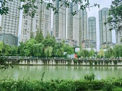 -成都市活水公园