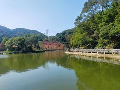 -广州市帽峰山景区