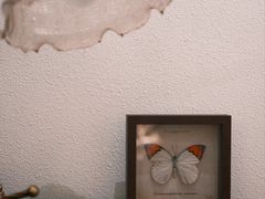 -初甜·舒芙蕾·韩式雪花冰(流塘店)
