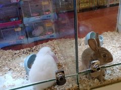 -凯德广场(武胜路店)