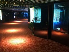 -上海金逸影城(静安大悦城店（原新恒星影城）)