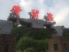 -牛背梁国家森林公园