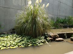 -中国湿地博物馆