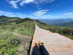 -白草畔自然风景区