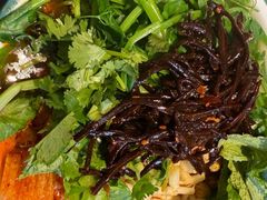 -同济大学-北苑食堂