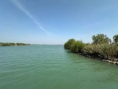 -漕湖湿地公园