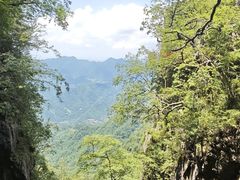 -塔云山