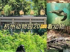 -杭州动物园
