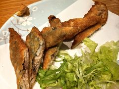 -桂马·日本料理·海胆·海鲜饭·酒场(民主广场店)