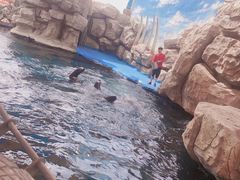 -华夏文旅西安度假区