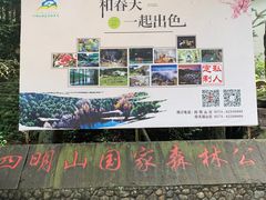 -四明山国家森林公园