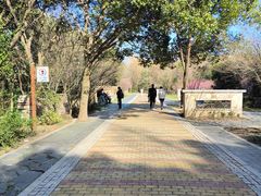 -同里国家湿地公园