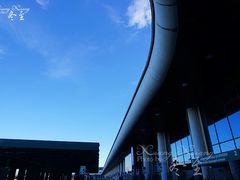 -米兰马尔彭萨国际机场