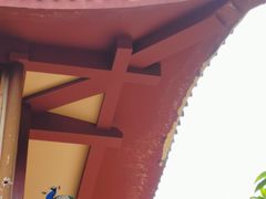 -都江堰普照寺