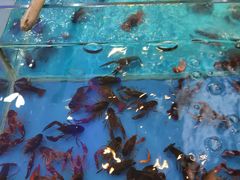 -老船长海鲜加工店(景苑山水店)