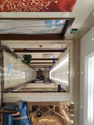 -碧莲盛·不剃发植发