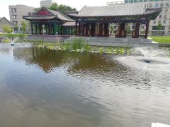 -东北农业大学