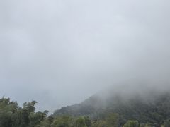 -长沙黑麋峰国家森林公园