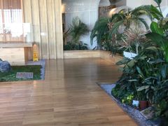 -Seesaw Coffee(朝阳大悦城店)