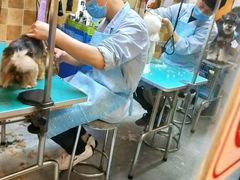 -我爱吾宠宠物美容院(朝阳路店)