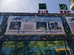 -青藏高原野生动物园