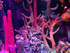 -沈阳海洋探索中心