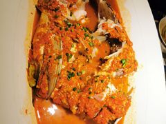 剁椒鱼头-凤凰湘语·海派湘菜(浦东旗舰店)