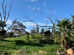 -威勒比开放式动物园